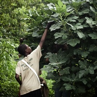 Urban Roots presents The 5th Annual Seed to Harvest Kickoff