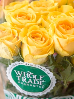 Places-Shopping-Whole Foods Market-Woodway-roses