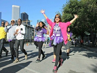 2015 Houston Walk to End Alzheimer's