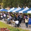 Farmers Market