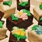 News_Shelby_petifores_Jan 10