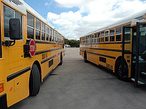 Allen ISD school buses