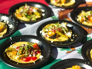 Houston Press Tacolandia