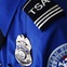 TSA theft, badge, airport officer