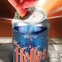 Sly Fox 360 Lid