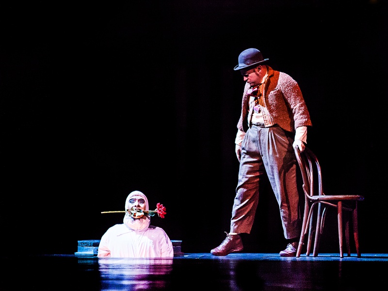 Cirque du Soleil, Quidam