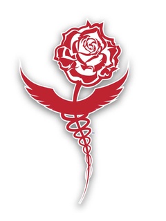 Events_11th Annual Run for the Rose benefiting Brain Cancer Research_march2013