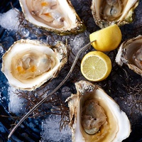 TRIO presents Out on the Lawn Dinner: Seafood