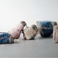 Box 13 ArtSpace presents <i>The Origin of Fruit</i>, <i>Sky Island, Tierra Firme</i>, and <i>Bugs</i>
