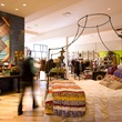 Anthropologie