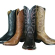 Pinto Ranch Rios Boots