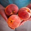 Austin Photo Set: News_Jessica Dupuy_John Lash_July 2012_peaches