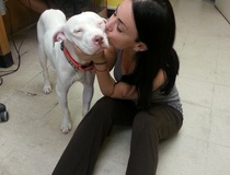 Caitlin M. Ryan: Pajama Sam: The sweet pup that's beat all odds and learned sign language