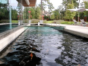 4, Joel, AIA home tour, Memorial area house, October 2012