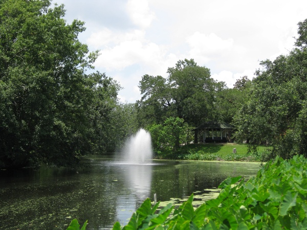 News_Peter Barnes_New Orleans_audubon park