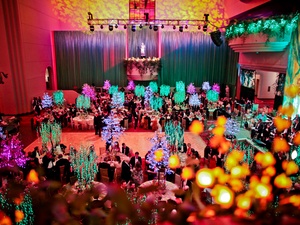 023, Houston Ballet Ball, February 2013, crowd, venue