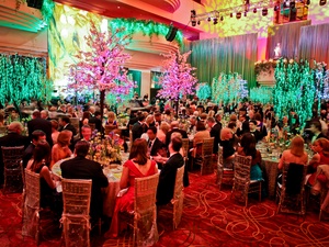 028, Houston Ballet Ball, February 2013, crowd, venue