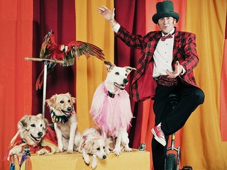 Circus Chickendog with Darren Peterson and his dogs