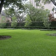 News_Joel Osteen_lot_5599 Doliver