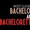 Houston's Most Eligible Bachelor and Bachelorette party, November 2012