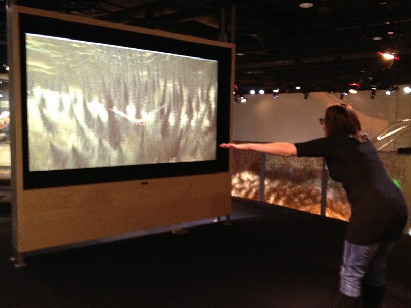 Perot Museum of Nature and Science, flight simulator