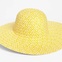 Nordstrom floppy hat