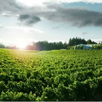 Killen’s Steakhouse presents Paul Hobbs South American Wine Dinner