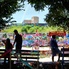Nicole Raney: Downtown Austin's iconic graffiti park searches for new home