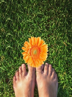 Barefoot in the Park