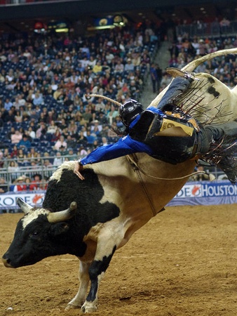 Nancy, RodeoHouston, bullrider