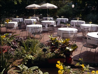 Places_Food_Daily Review_patio
