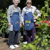 Friends of Spring Branch Memorial Library presents Plant and Book Festival