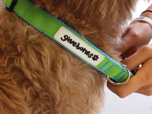 Kalon McMahon, Justin Bieber, Goodbones, dog