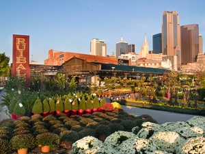 Ruibal's Plants of Texas in Dallas Farmers Market