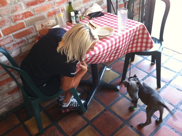 News_Paws on Patios