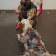 10, Texas Contemporary Art Festival, wrap up, October 2012, Robb Putnam, Rat #4, Rat #5, 2012