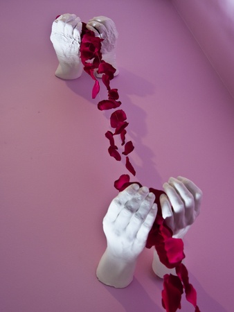 News_001_Judy Nyquist_favorite room.jpg