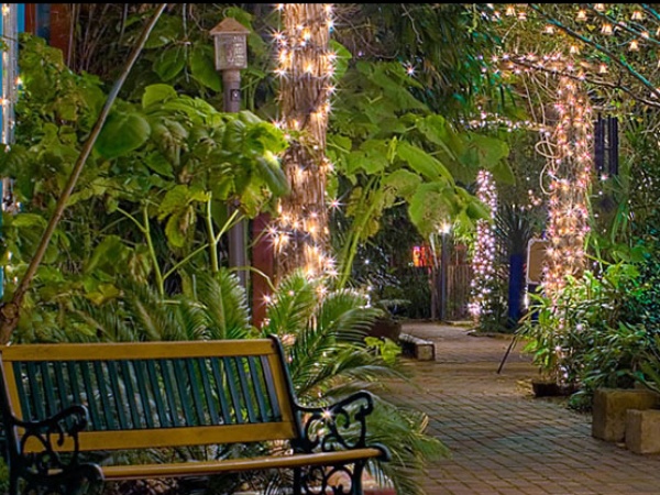 Austin Photo Set: News_shelley_casa de luz_nov 2012_walkway