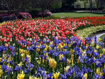 Dallas Arboretum and Botanical Garden