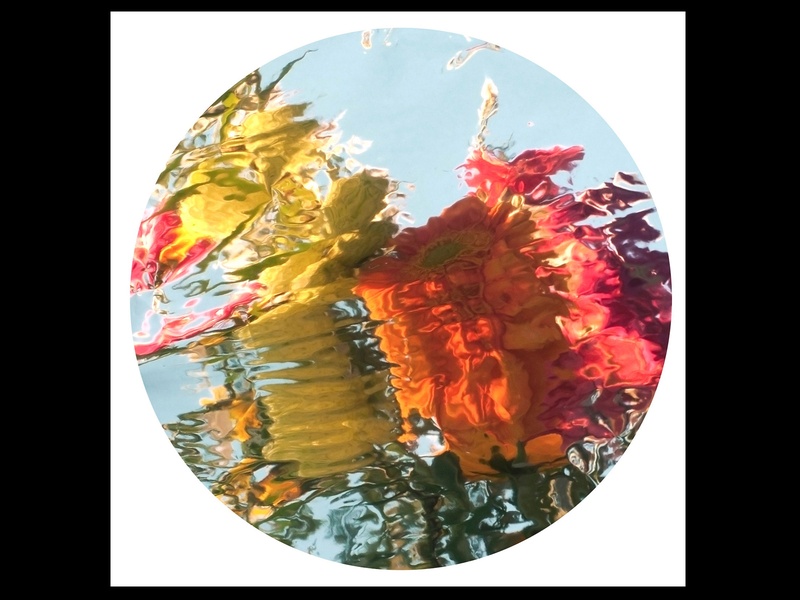 11, Houston Fine Art Fair, September 2012, Javier Peláez, Fake Flowers 1, 2012, Oil on Linen, 59.5'' diameter, Courtesy of Toca Galería, BLACK SPACE