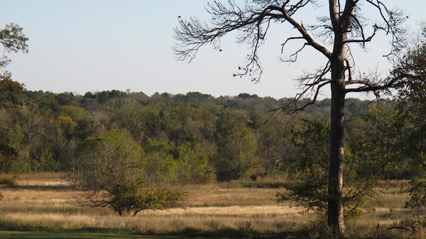 3, Katie, Saint Francis Wolf Sanctuary, November 2012, Vista from Jean LeFevre’s home
