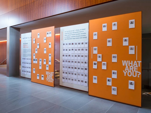 Asia Society, Hapa, What Are You, December 2012