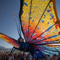 The Roundup Outdoor Music Venue presents Bluegrass and Butterfly Festival