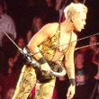 Pink concert, February 2013