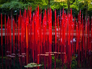 Dallas, Dallas Arboretum, Autumn at the Arboretum, Chihuly, Melisa Ambers, Rod Lindley