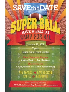 2015 Super Ball Gala benefiting Camp For All