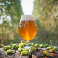 ELM Restaurant Group presents ELM Loves IPA Day!