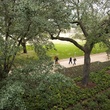 Places-Unique-Discovery Green walkers