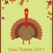 News_PETA_turkey