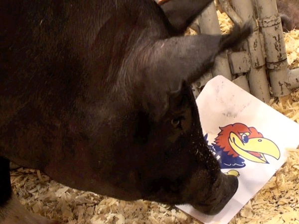 pig patch ncaa bracket 